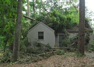 A cabin hit by multiple trees.