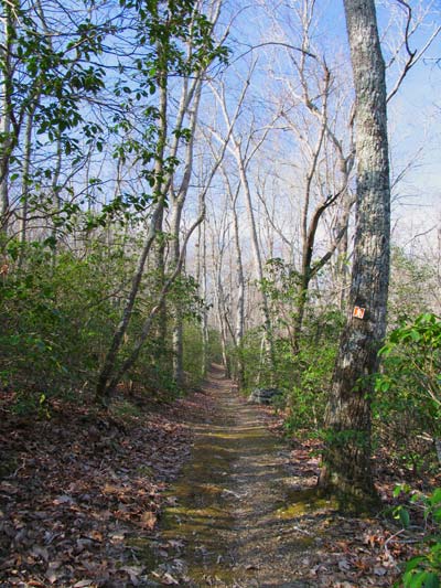 Hattaway Trail